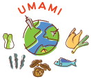 UMAMI