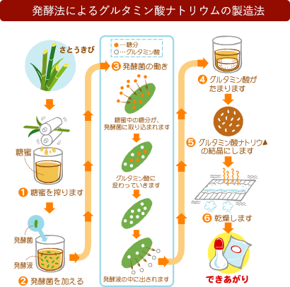 発酵法によるグルタミン酸ナトリウムの製造法