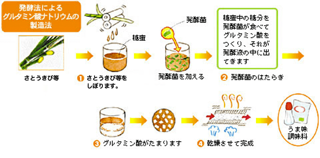 製造プロセス